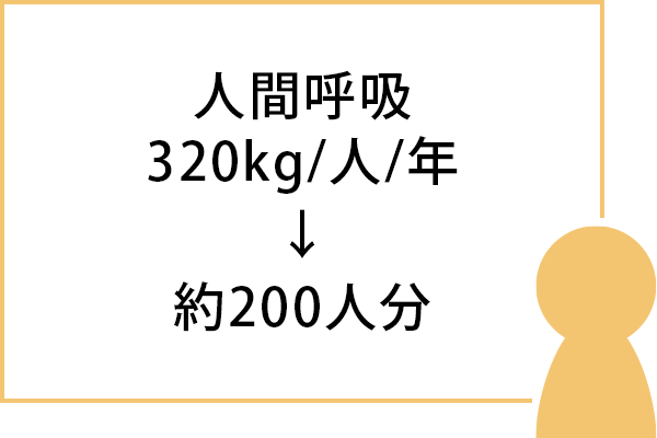 人間呼吸 320kg/人/年→約200人分