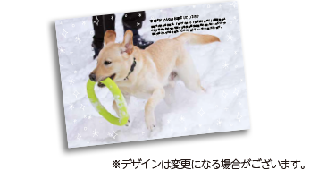 うら面：盲導犬フォトカード ※デザインは変更になる場合がございます。
